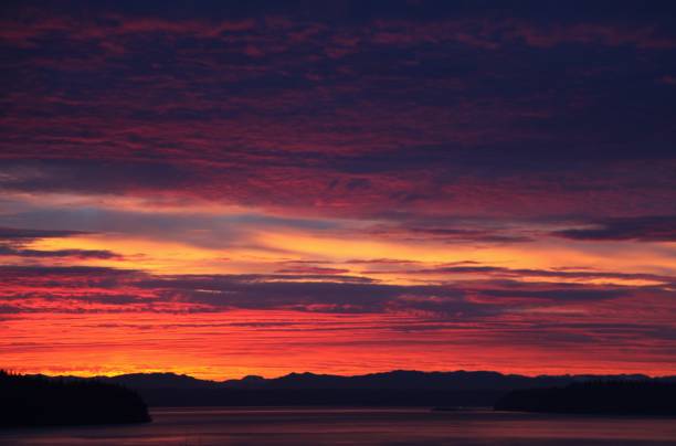 istock Puget Sound Sunrise 695600774