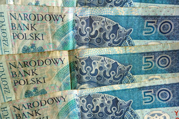 istock Fifty polish zloty 695601318