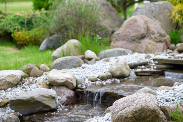 istock Creek in the garden 695603678