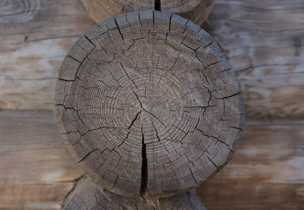 Wooden background