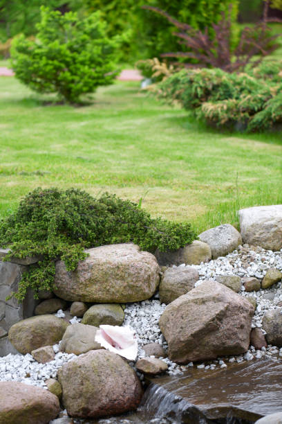 istock Creek in the garden 695605316