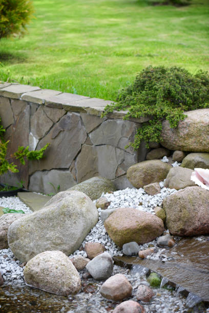 istock Creek in the garden 695608096