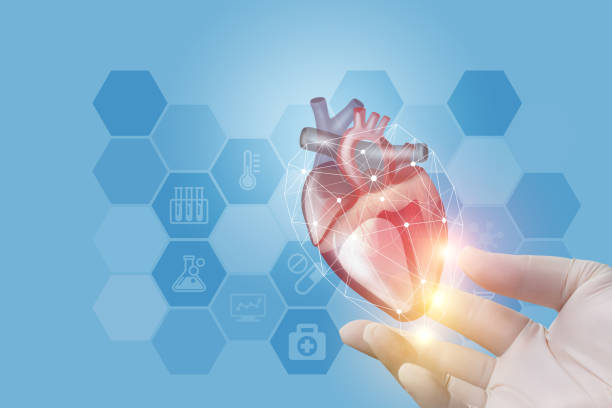istock The doctor showing is heart in hand . 695614488