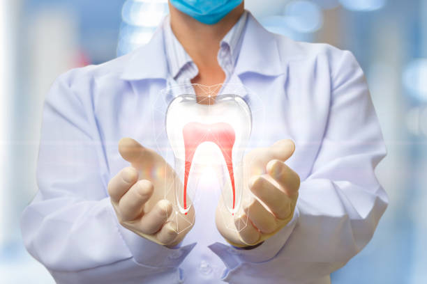 医者は、歯をサポートしています。 - dental implant dental hygiene dentures prosthetic equipment ストックフォトと画像