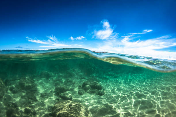 istock Fernando de Noronha - Brazil (Boldro Beach) 695614650