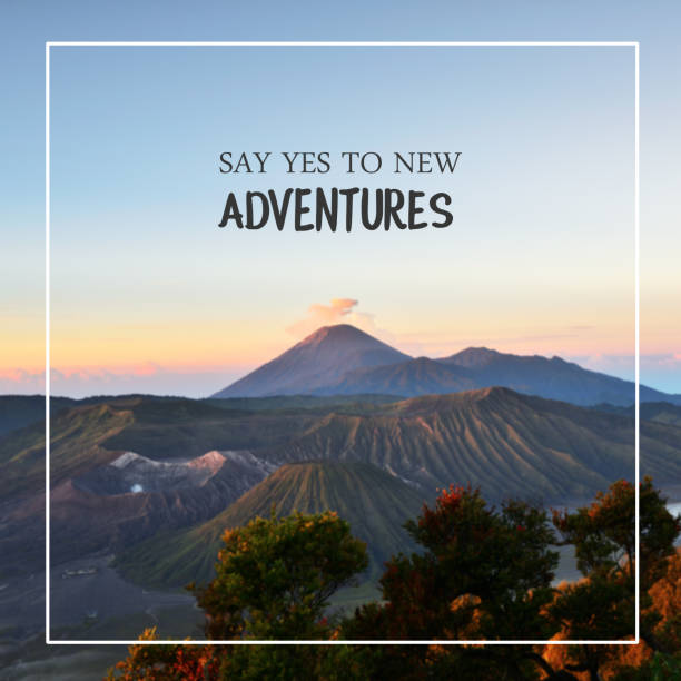 Say yes to new adventures