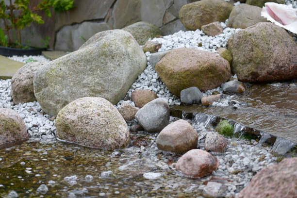 istock Creek in the garden 695619358