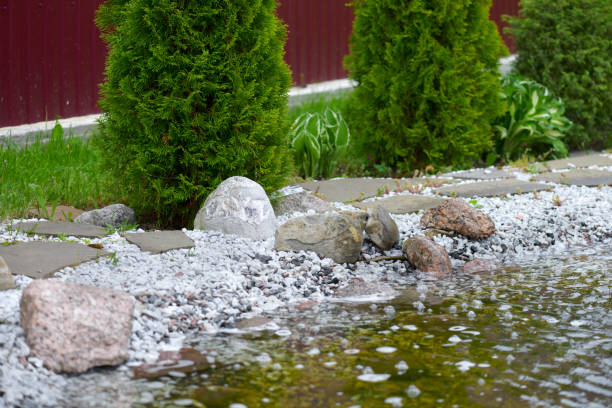 istock Creek in the garden 695622182