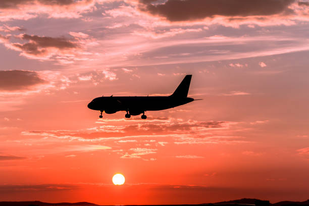 istock Airplane landing at sunset 695626046