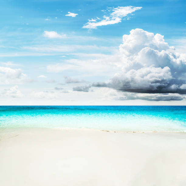 istock Idyllic beach and sea 695626222