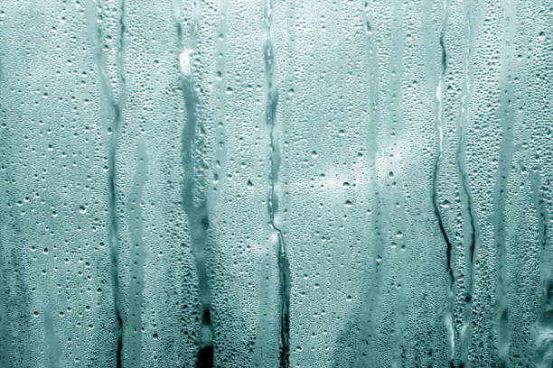 istock cyan toned condensation drops on pvc greenhouse. 695626368