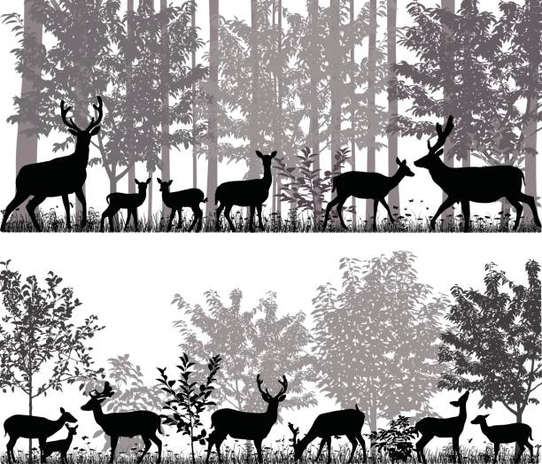 Herd of deer A herd of deer in silhouettes on the background of trees doe deer silhouette stock illustrations