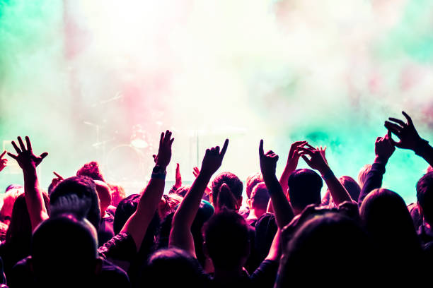 istock cheering crowd at a rock concert 695629506