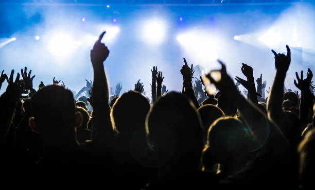 istock cheering crowd at a rock concert 695629880