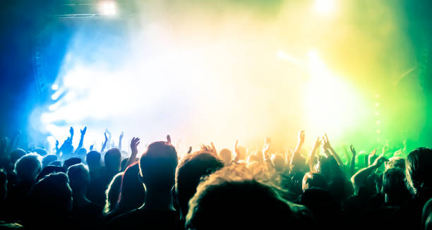 istock cheering crowd at a rock concert 695629936