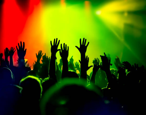 istock cheering crowd at a rock concert 695629988