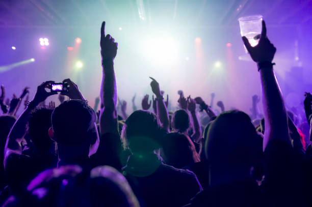 istock cheering crowd at a rock concert 695630020