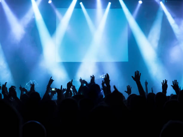istock cheering crowd at a rock concert 695630806