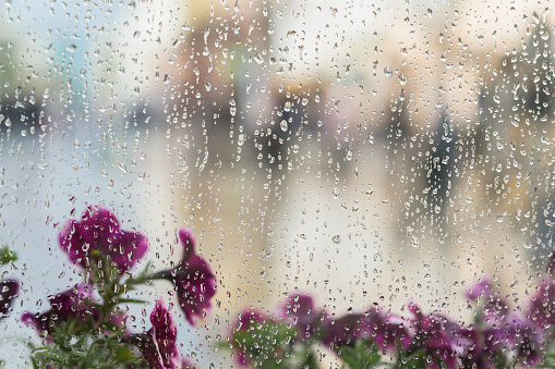 Purple flowers behind the wet window with rain drops, blurred street bokeh. Concept of spring weather, seasons, modern city. With place for your text, for abstract background use