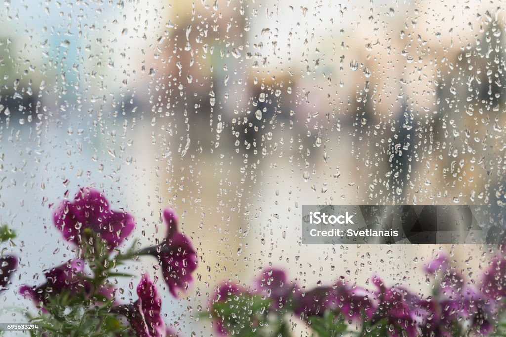 Purple flowers behind the wet window with rain drops, blurred street bokeh. Concept of spring weather, seasons, modern city. Place for text, for abstract background Purple flowers behind the wet window with rain drops, blurred street bokeh. Concept of spring weather, seasons, modern city. With place for your text, for abstract background use Rain Stock Photo