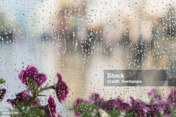 Purple Flowers Behind The Wet Window With Rain Drops Blurred Street Bokeh Concept Of Spring Weather Seasons Modern City Place For Text For Abstract Background Stock Photo - Download Image Now