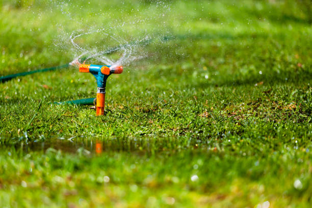 istock Garden sprinkler watering grass 695633522