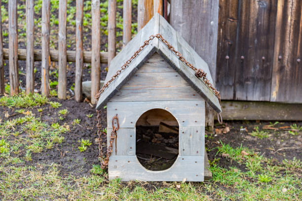 istock Old wooden doghouse 695651996