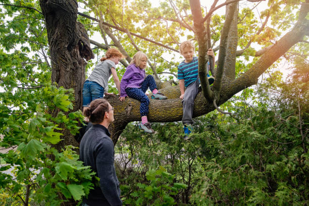 istock Kids climbing tree with dad's help in sprintime. 695667798