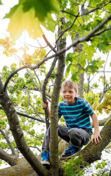 istock Little boy climbing very high tree in sprintime. 695667932
