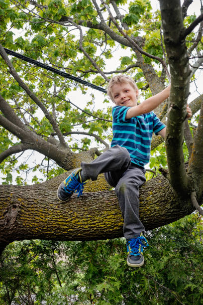 istock Little boy climbing very high tree in sprintime. 695670042