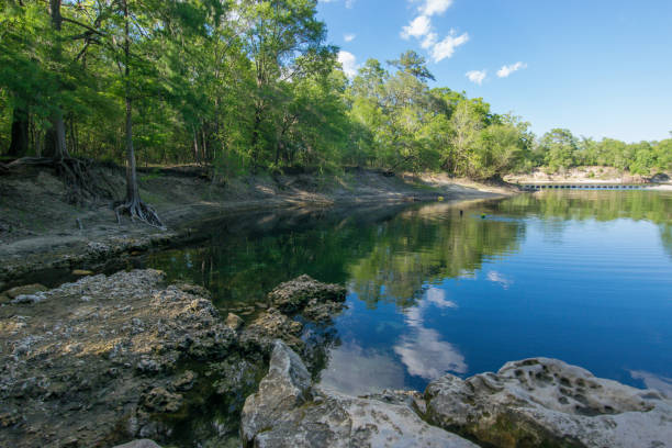 istock Beautiful Florida Spring on the Suwannee River 695670338