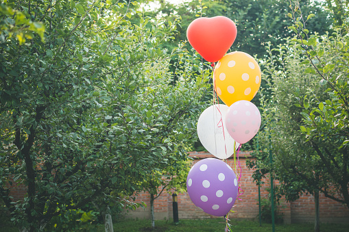 Balloons in a backyard with green garden