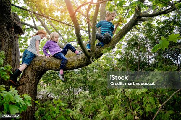 Photo libre de droit de Enfants Grimper Très Haut Arbre À Sprintime banque d'images et plus d'images libres de droit de Enfant - Enfant, Arbre, Escalade