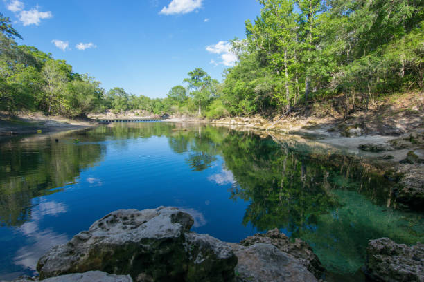 istock Beautiful Florida Spring on the Suwannee River 695670670