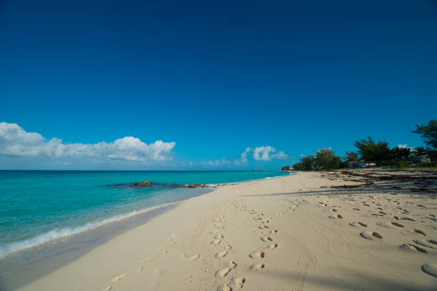 long beach on island of Bimini stock photo