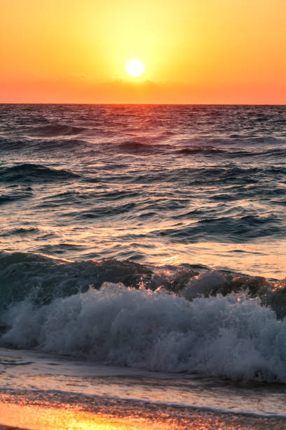 istock Beautiful tropical sunrise in Cancun, ocean landscape 695674740