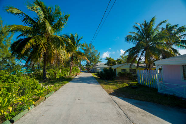 istock on the island of Bimini 695674780