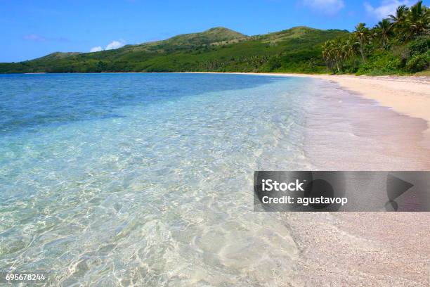 Tropical Paradise Dreamlike Sand Desert Island Turquoise Beach And Palm Trees Idyllic Yasawas Fiji Islands Stock Photo - Download Image Now