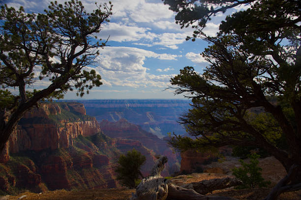istock Cape Royal Overlook F 695694018