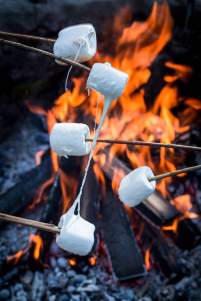 istock Sweet and hot marshmallows on stick and bonfire 695694390