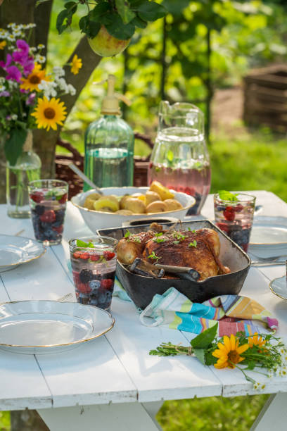 istock Dinner with potatoes and chicken served in garden 695694996