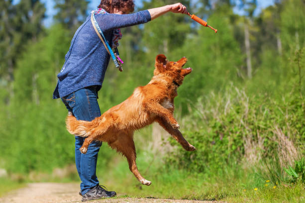 istock woman plays with a young dog on a forest path 695697644