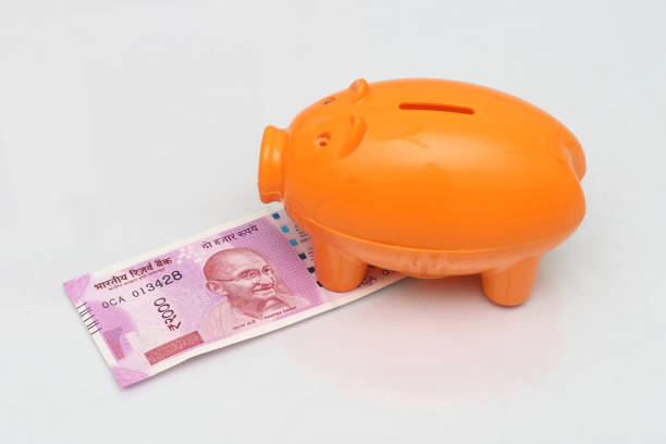 istock Indian currency with piggy bank. 695698926