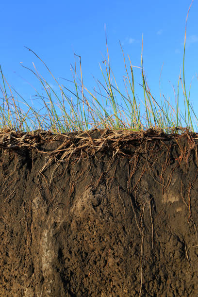 istock Erosion of the Soil 695701136