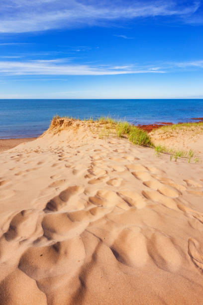 istock Beach in Prince Edward Island Canada 695704878