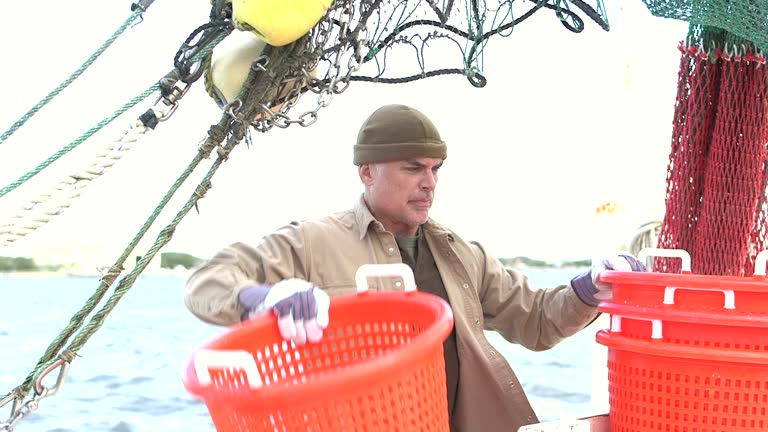 Man working on commercial fishing boat stacking baskets