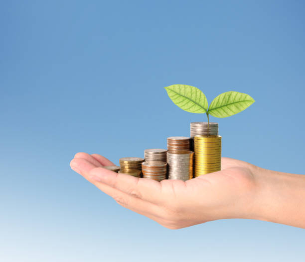 istock Hand human hand putting coin to money 695711724