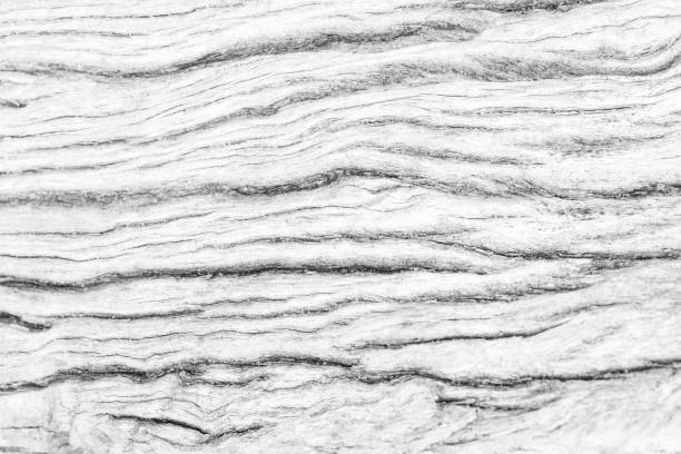 istock Abstract surface white wood table texture background. Close up of dark rustic wall made of white wood table planks texture. Rustic white wood table texture background empty template for your design. 695711952