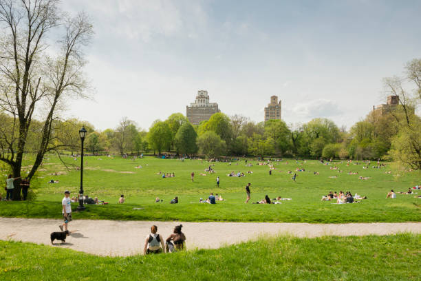 NYC Brooklyn's Prospect Park Lawn on Sunny Spring Day stock photo