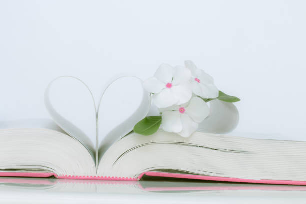 istock The book of love. 695718534